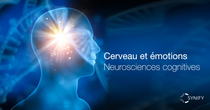 Cerveau et émotions